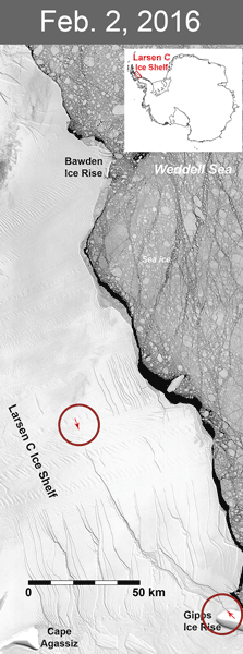 Animation of rift growing across Larsen C ice shelf in NASA satellite imagery